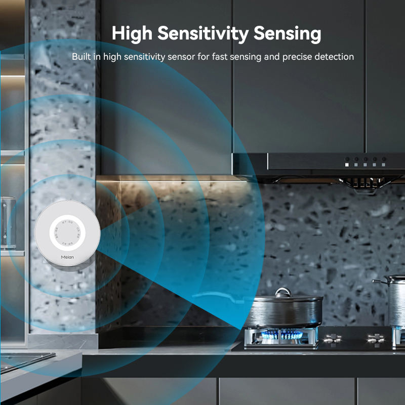 Meian Zigbee Rilevatore di gas - Home Security Kitchener recensione e prezzo