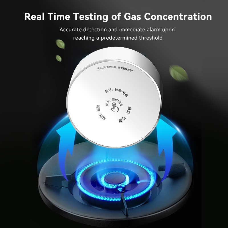Meian Zigbee Rilevatore di gas - Home Security Kitchener recensione e prezzo