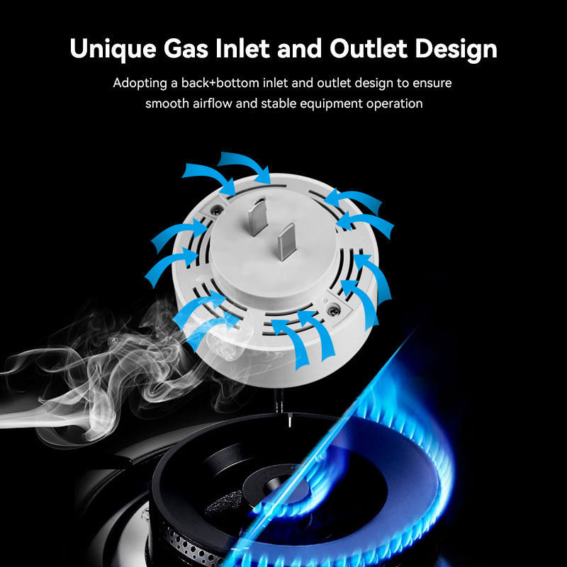 Meian Zigbee Rilevatore di gas - Home Security Kitchener recensione e prezzo
