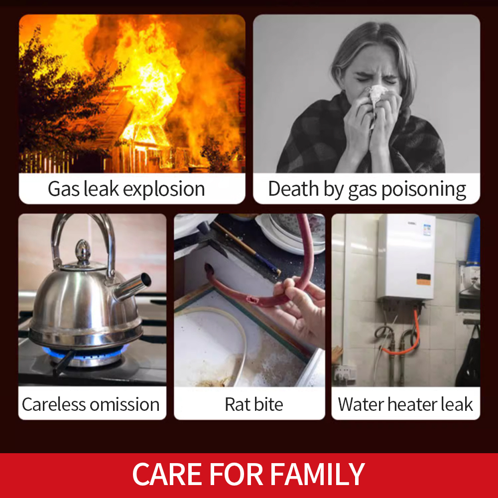 Rilevatore di perdite di gas c - Home Security Kitchener recensione e prezzo