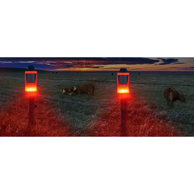 Luce di allarme solare con sen - Solar Security Light recensione e prezzo